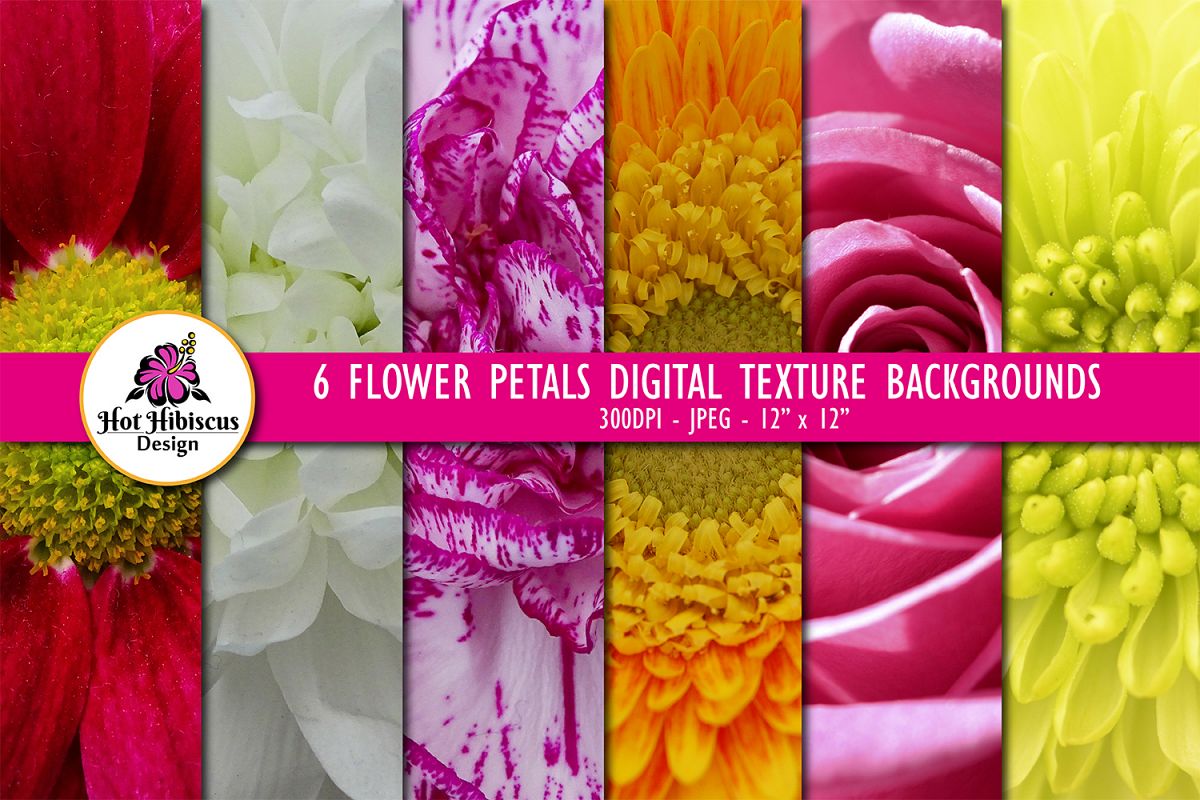 6 Closeup Flower Petals Digital Paper Texture Backgrounds example image 1