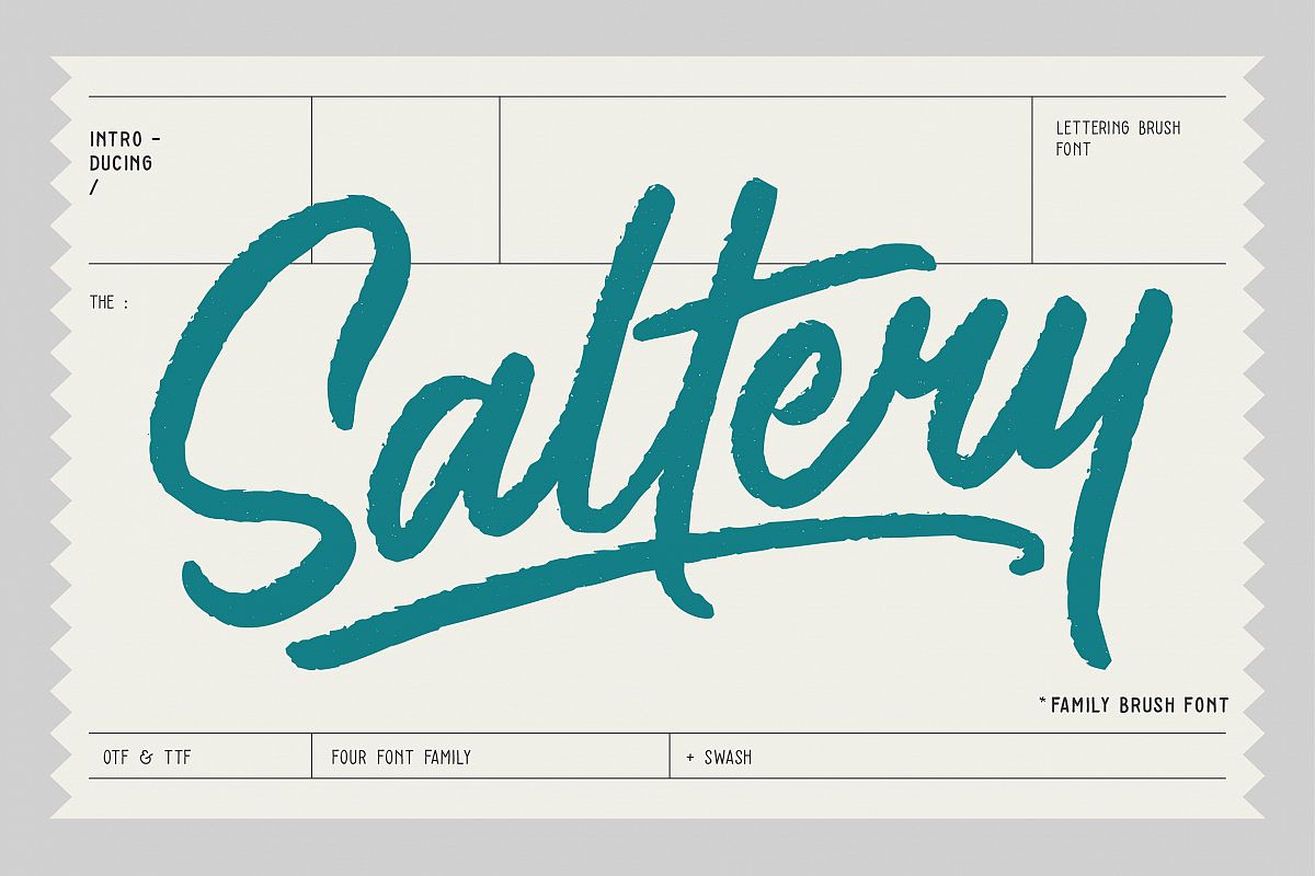 Saltery Brush Font example image 1