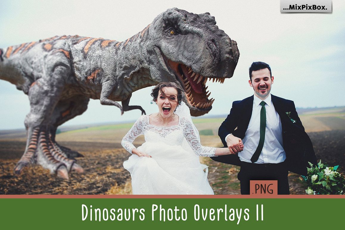 Dinosaur v.2 Photo Overlays example image 1