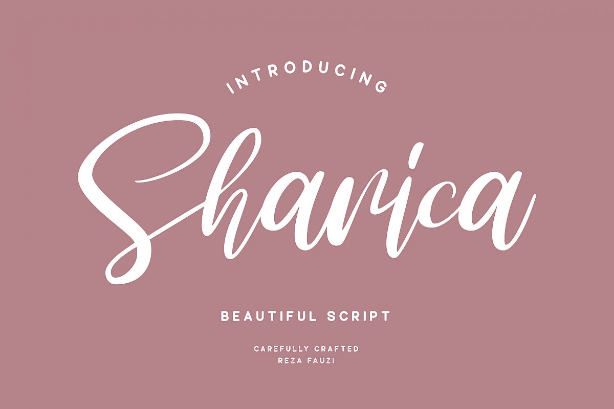 Sharica - Script Font example image 1