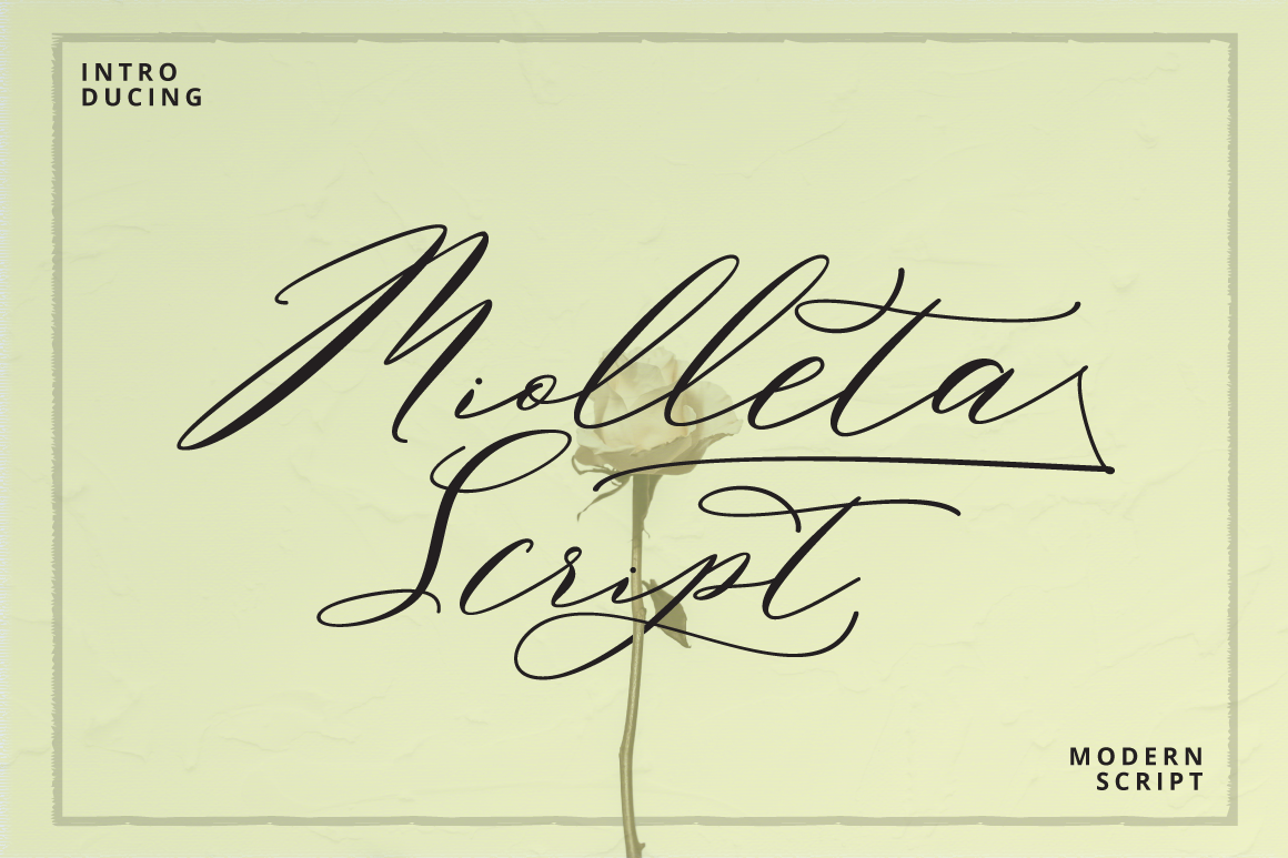 Miolleta Script example image 1