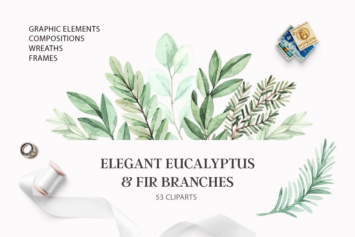 Elegant eucalyptus & fir branches. Watercolor collection example image 1
