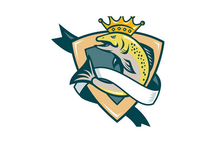 King Salmon Fish Jumping Shield example image 1