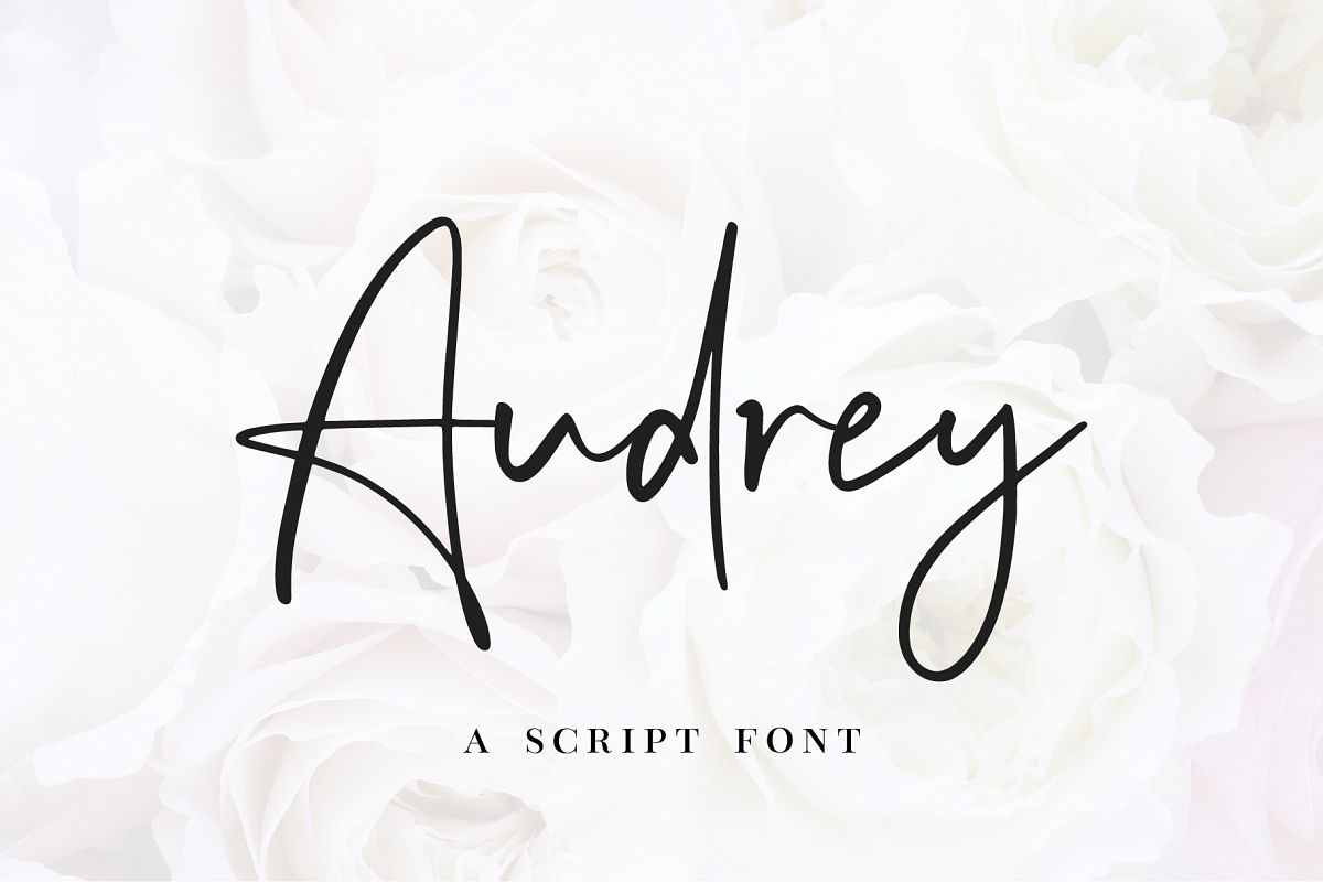 Audrey - A Script Font example image 1