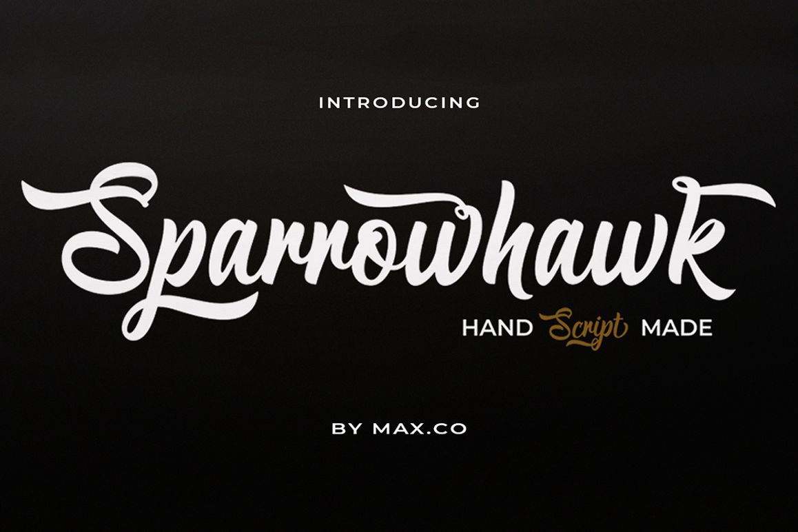 Sparrowhawk Script example image 1