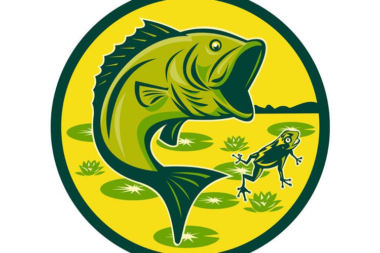 largemouth bass jumping with frog example image 1