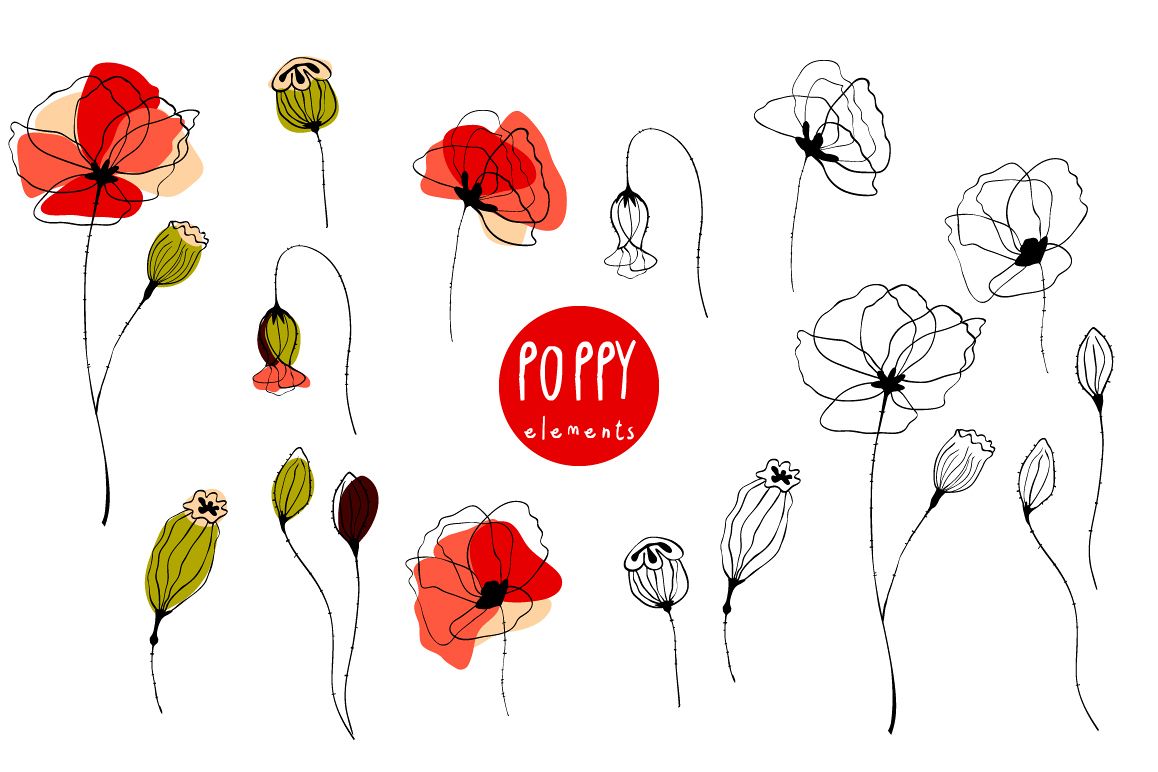 Poppy. Elements & Pattern Swatches example image 1