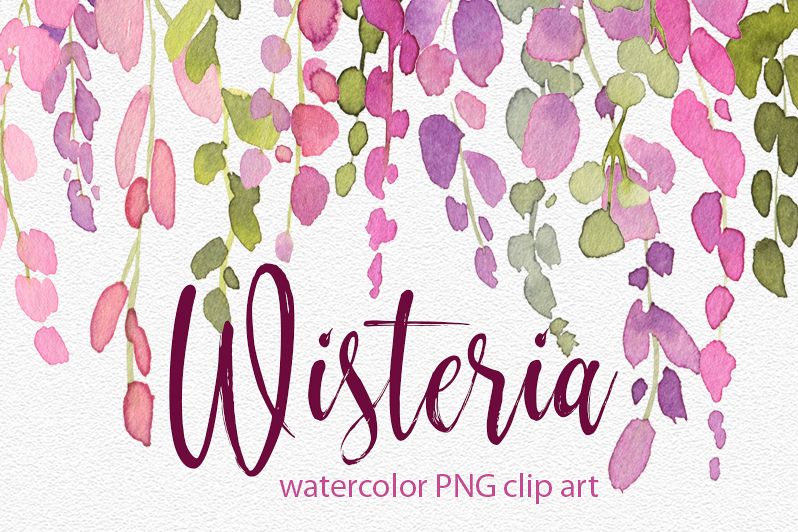 Watercolor wisteria png pink flowers example image 1