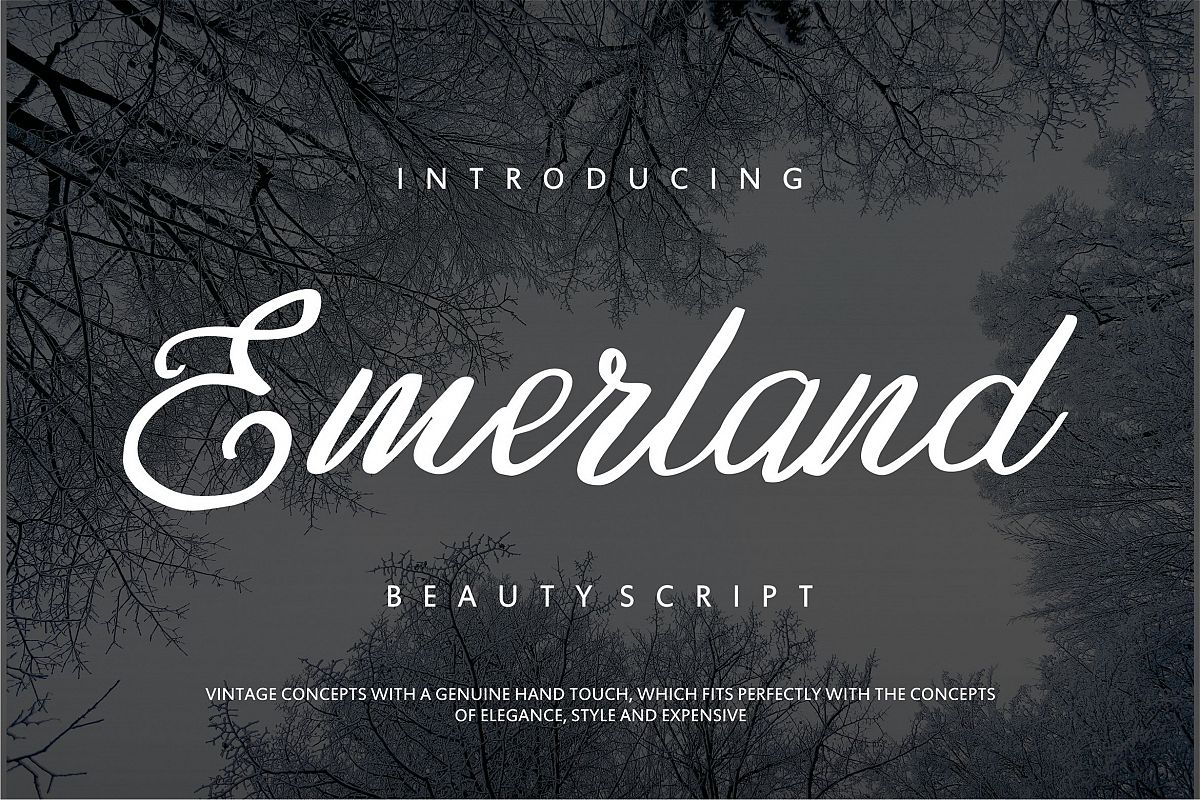 Emerland | Beauty Script Handwritten example image 1