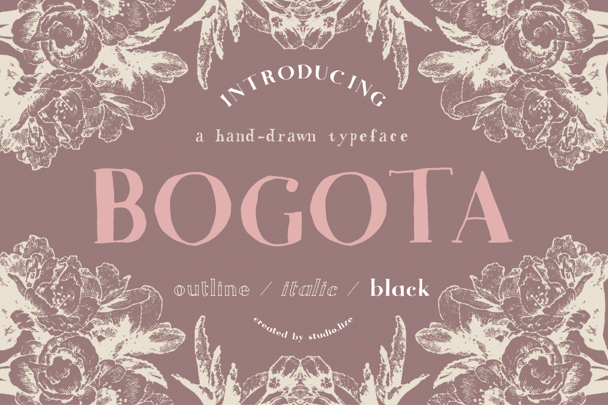 Bogota Handwritten Font example image 1
