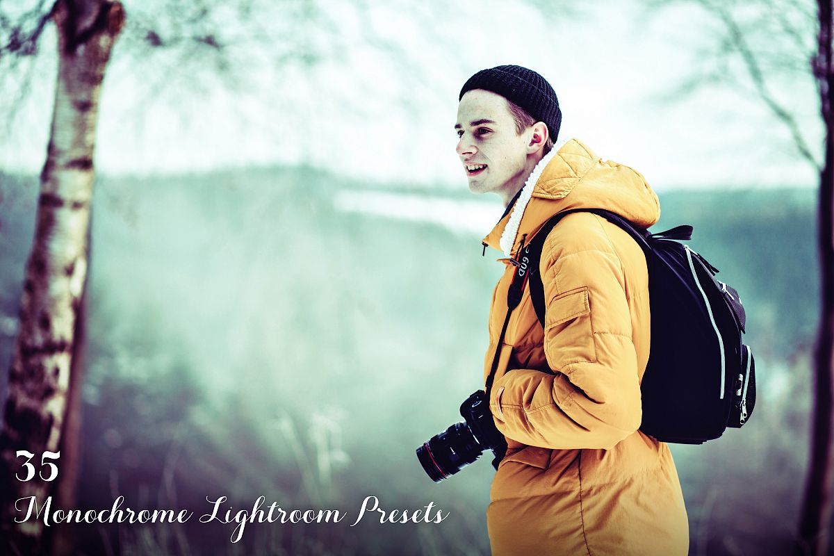 Monochrome Lightroom Presets example image 1