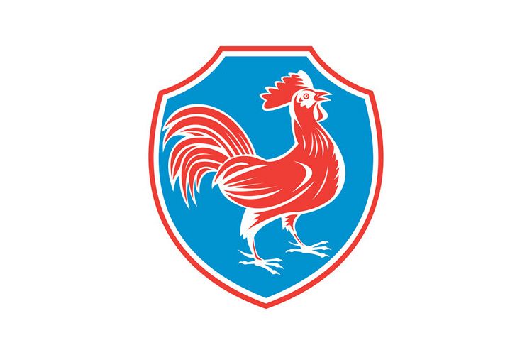Chicken Rooster Side Shield Woodcut example image 1