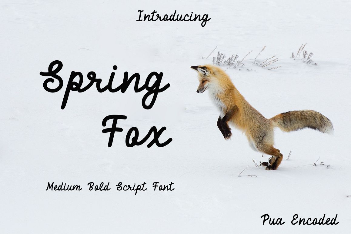 Spring Fox Script Font example image 1