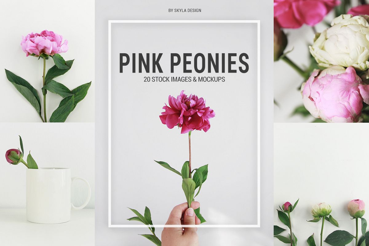 20 Styled stock pink peonies, floral images & mockups example image 1