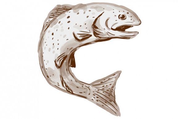Rainbow Trout Jumping Watercolor example image 1