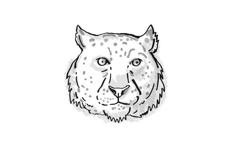 Snow Leopard Cartoon