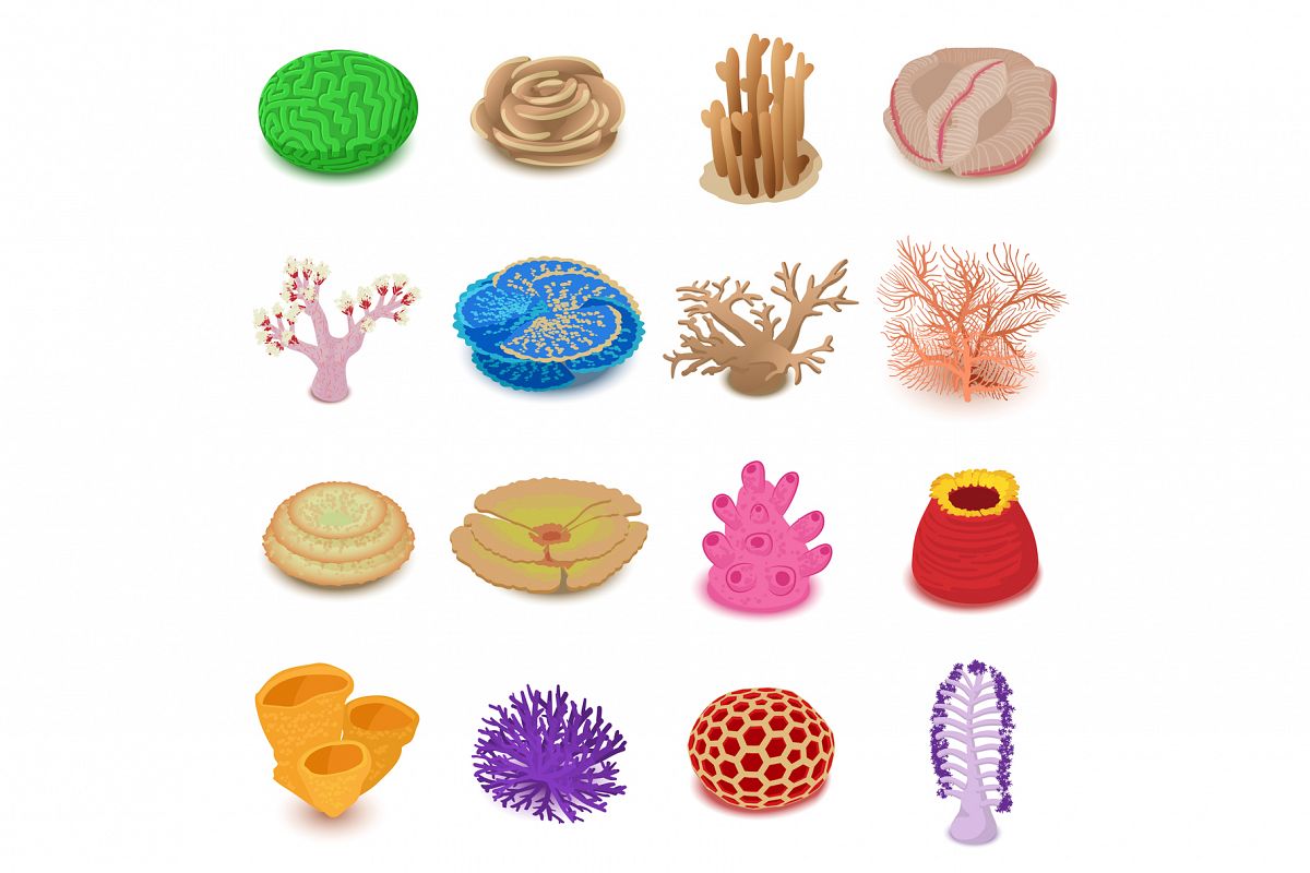 Coral reef icons set, isometric style example image 1