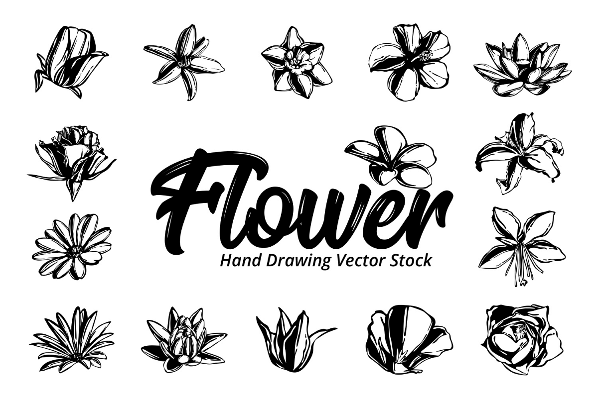 Flower Hand Drawing Vector example image 1