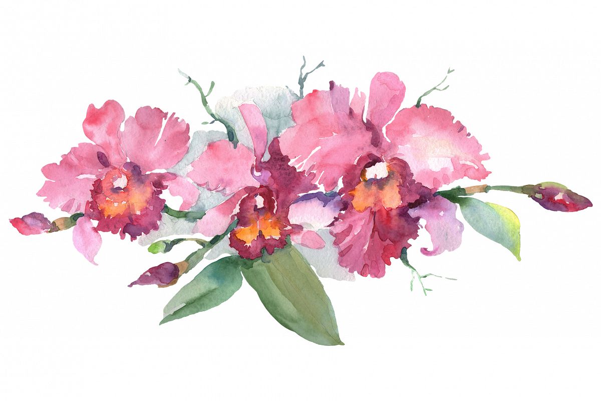Branch of pink orchids watercolor png example image 1