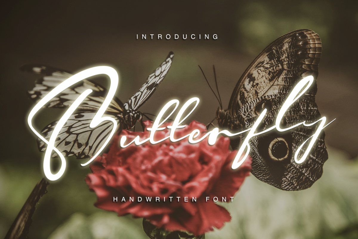 Butterfly - Hadwritten font example image 1
