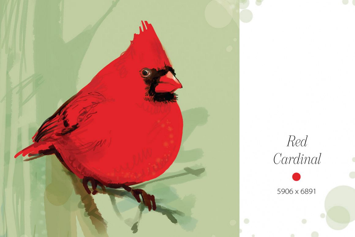 Red Cardinal example image 1