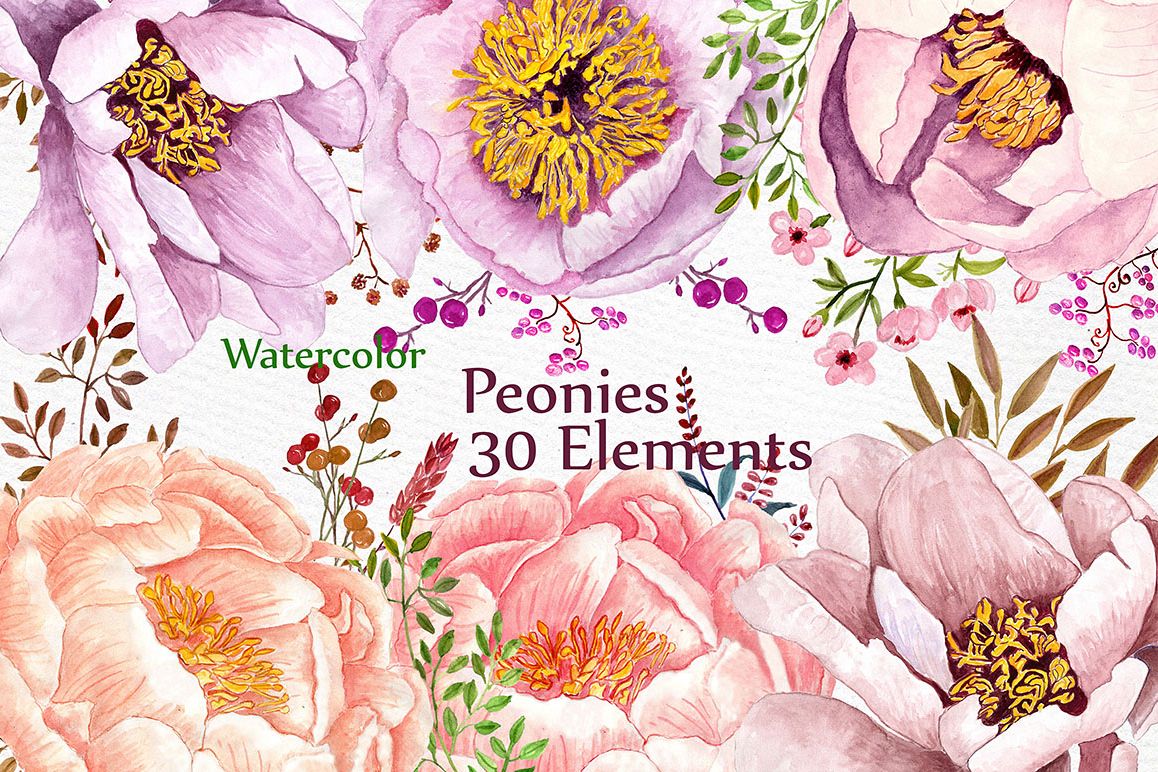 Watercolor peonies flowers clipart example image 1