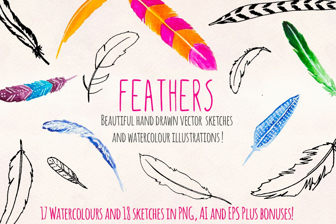 30 Bird Feathers Ink and Watercolor Graphics example image 1