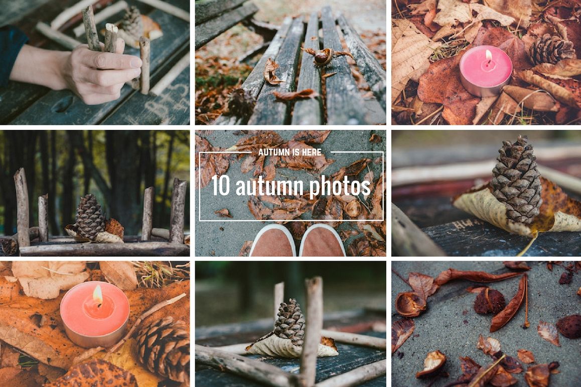 10 autumn photos example image 1