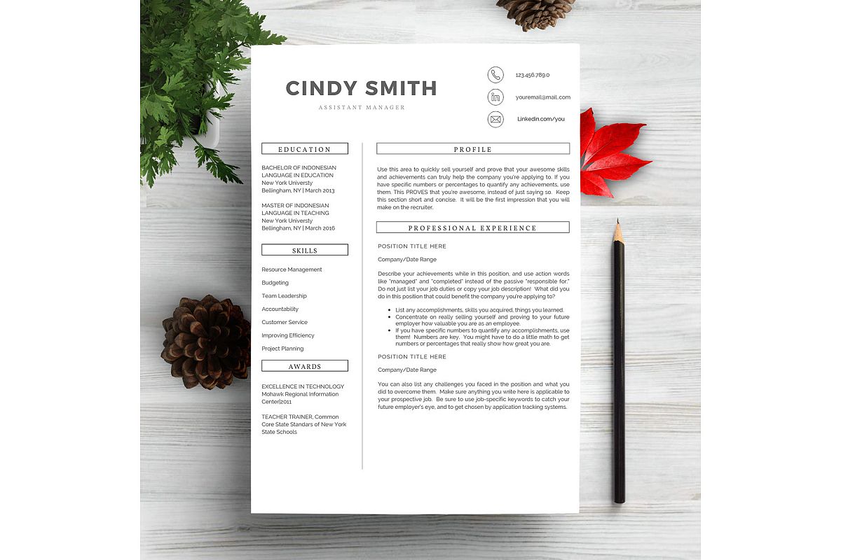 Professional Resume Template CV example image 1