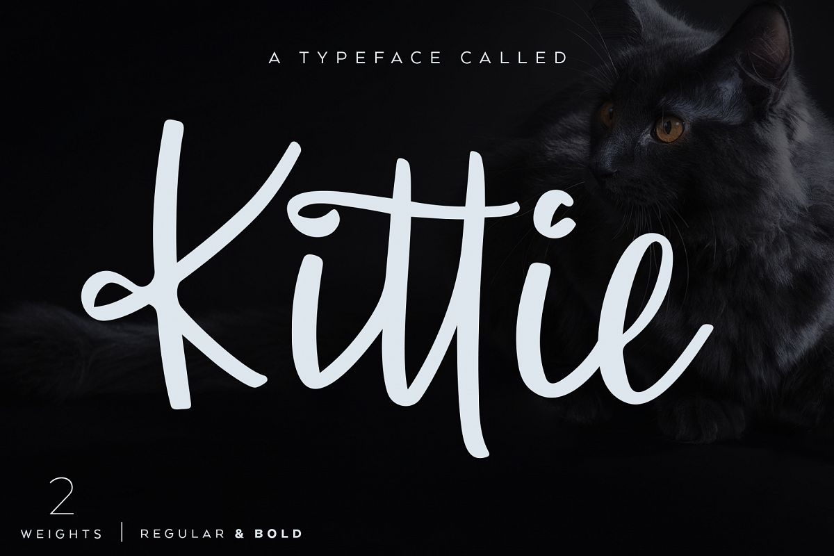 Kittie | Regular & Bold example image 1