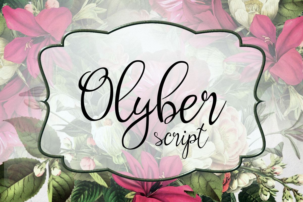Olyber example image 1