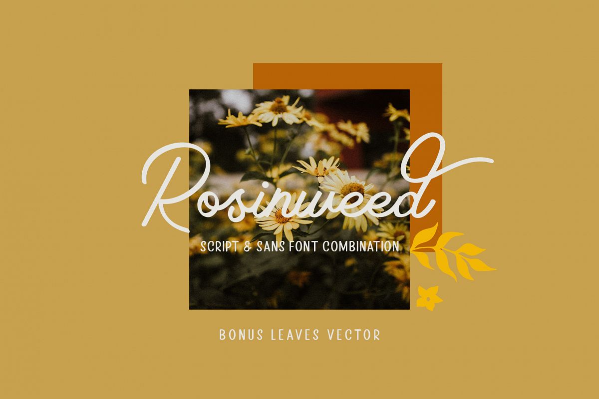 Rosinweed Font duo example image 1