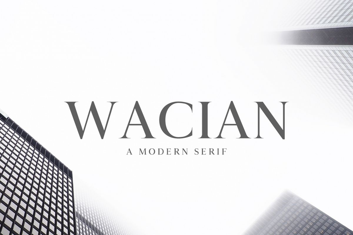 Wacian Serif Font Family Pack example image 1