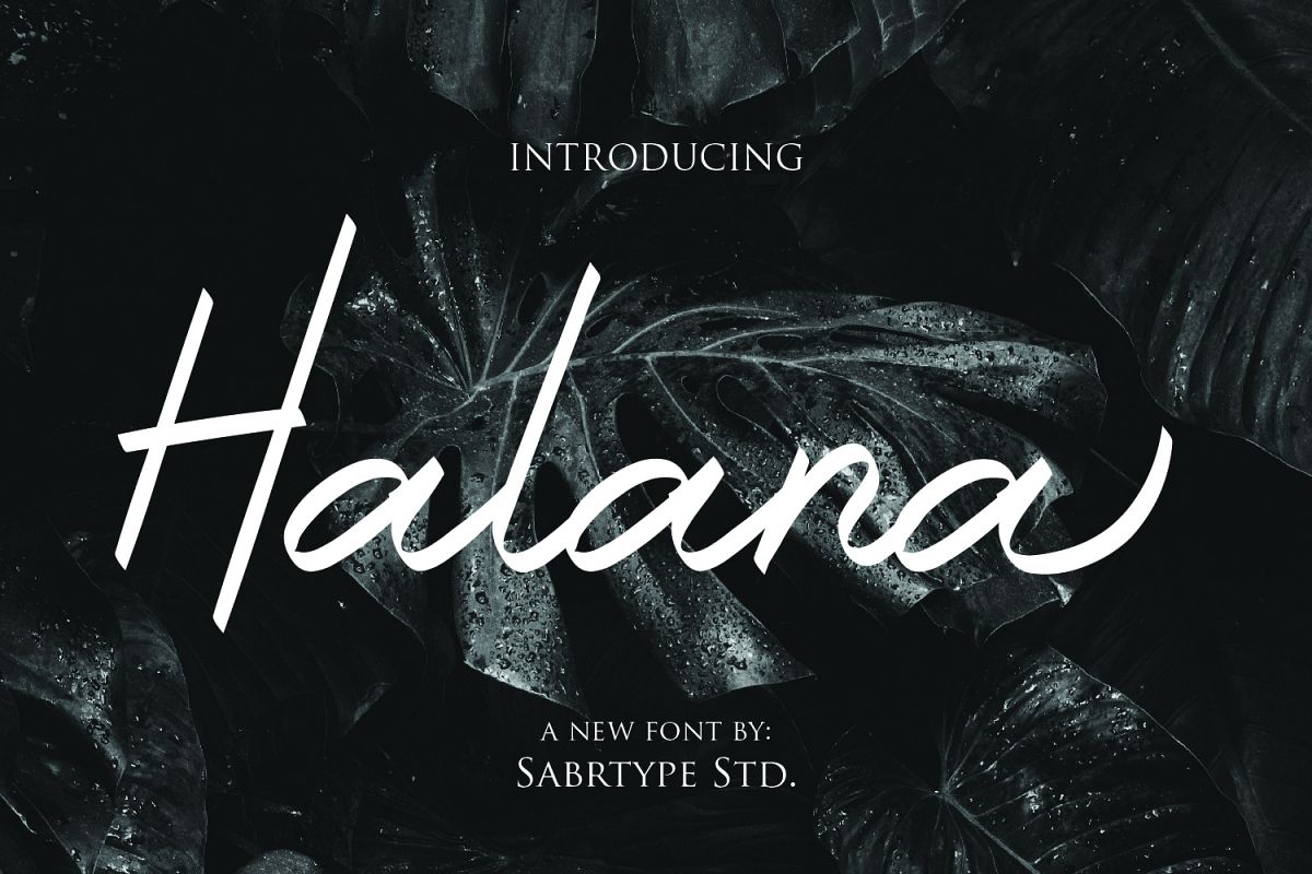 Halana Font example image 1