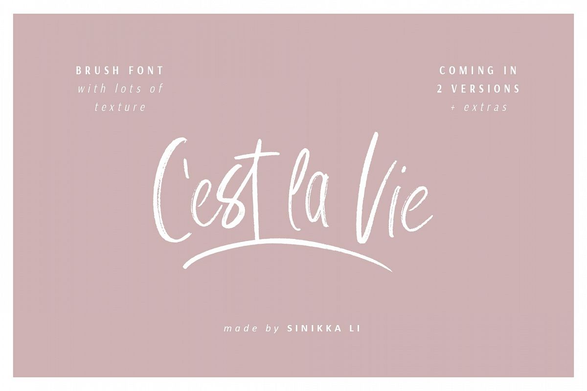 C'est La Vie | Font + Extras example image 1