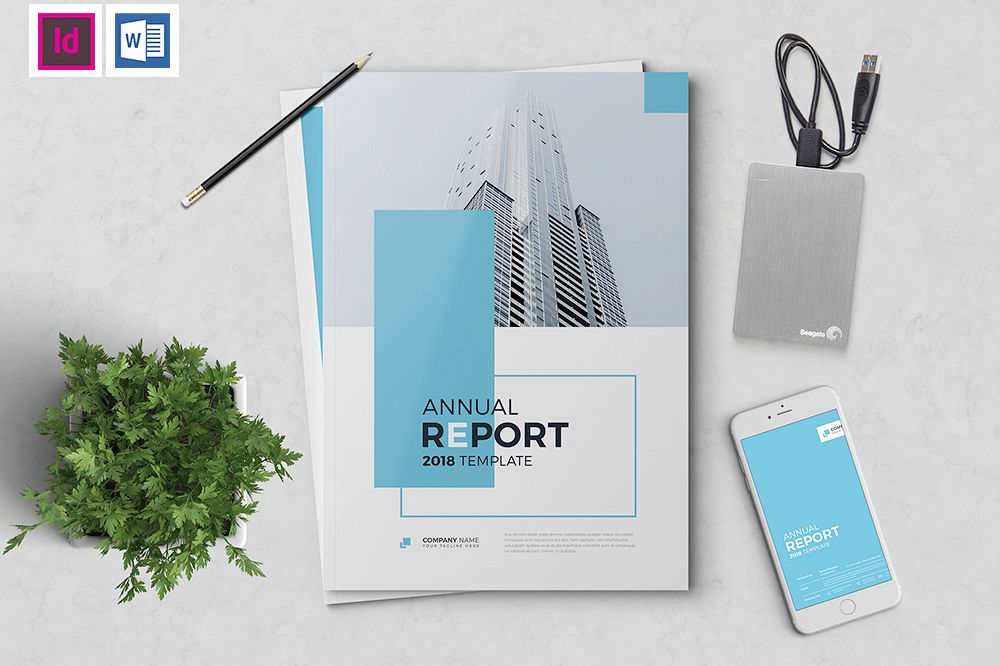 The Blue Annual Report example image 1