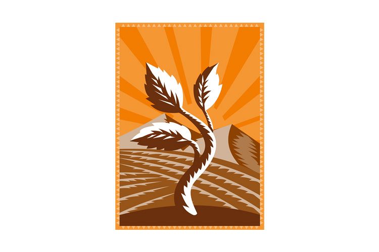 growing plant leaf field mountains example image 1