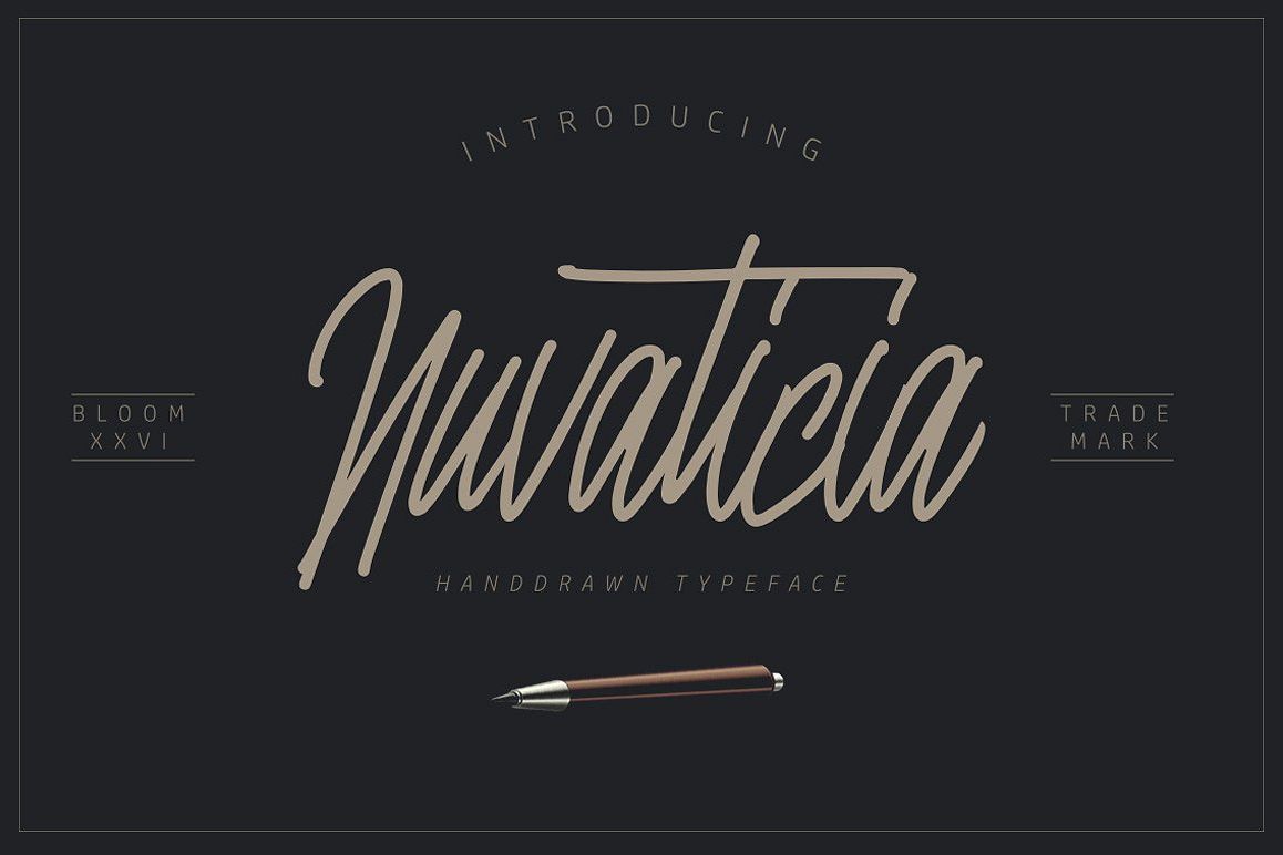 Nuvanticia Typeface + free bonus 43 Vector Skull example image 1