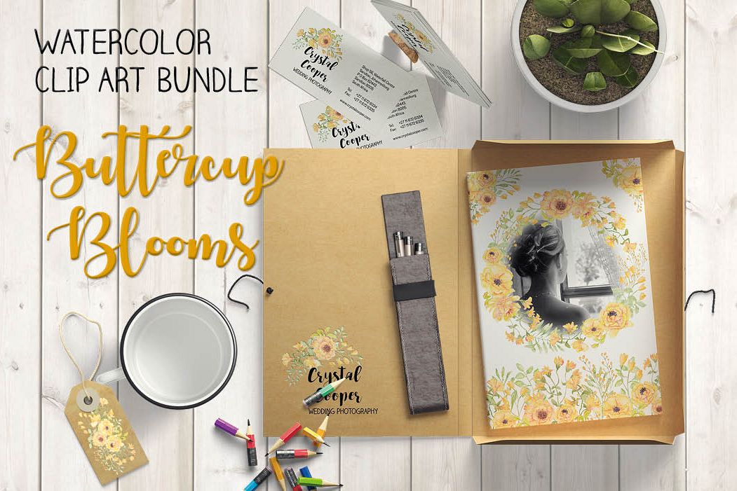 Watercolor clip art bundle: 'Buttercup Blooms' example image 1