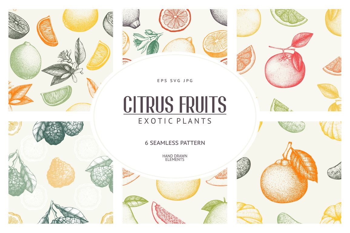 6 Seamless Citrus Fruits Pattern example image 1