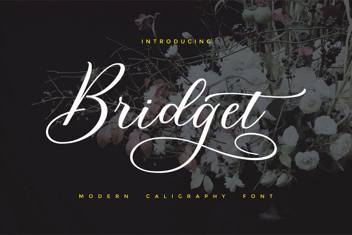 Bridget Script example image 1