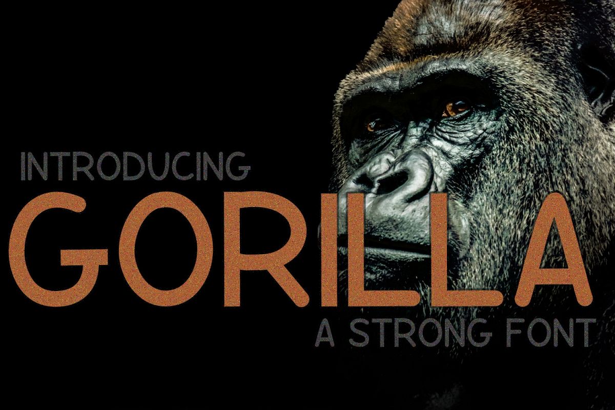 Gorilla example image 1