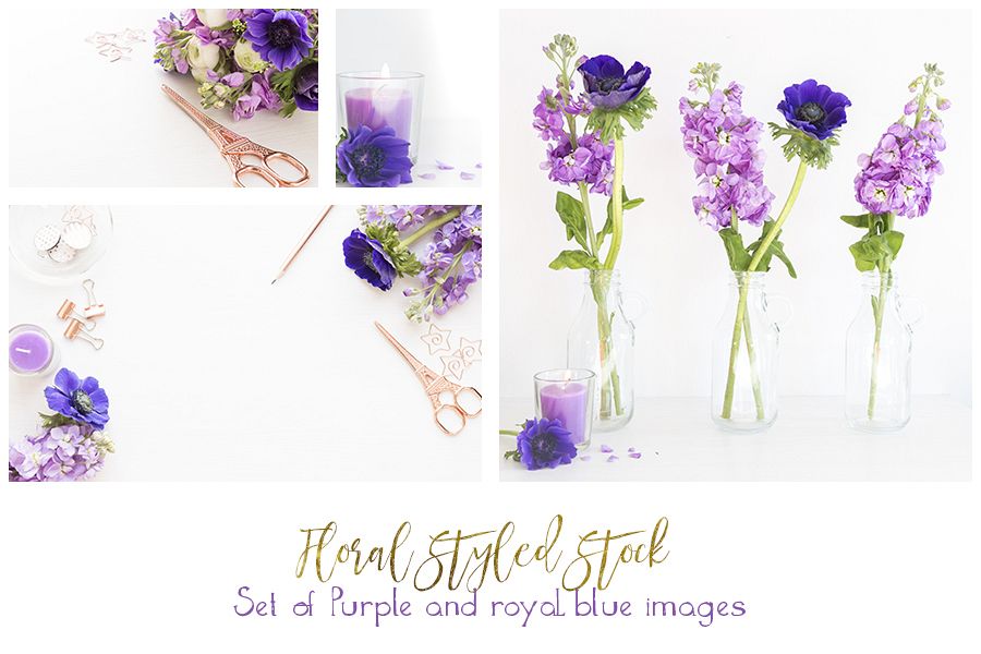 Rose gold with royal blue anamones and purple hyacinths styled desktop bundle of 5 images example image 1
