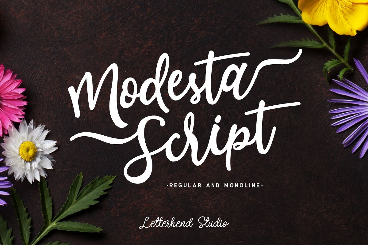 Modesta Script example image 1