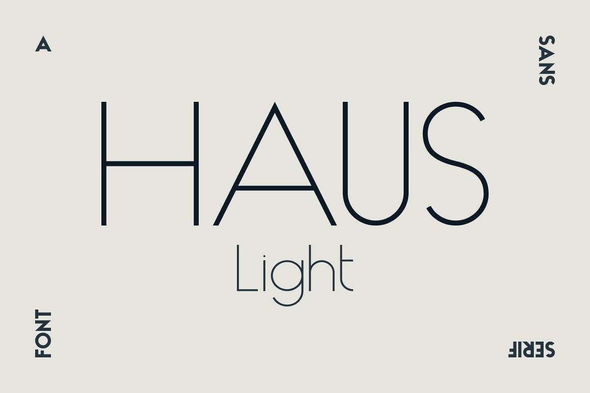 HAUS Sans Light example image 1