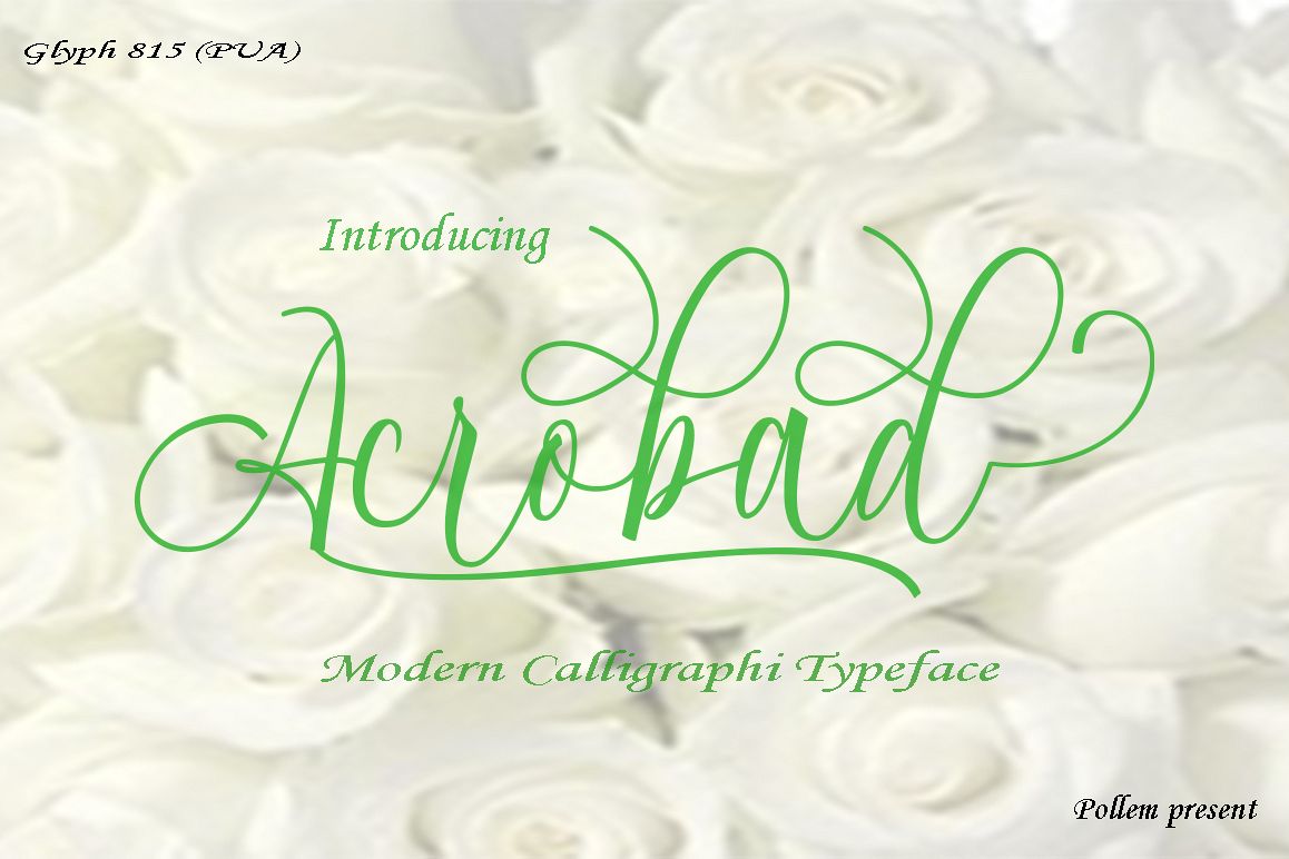 Acrobad Script example image 1
