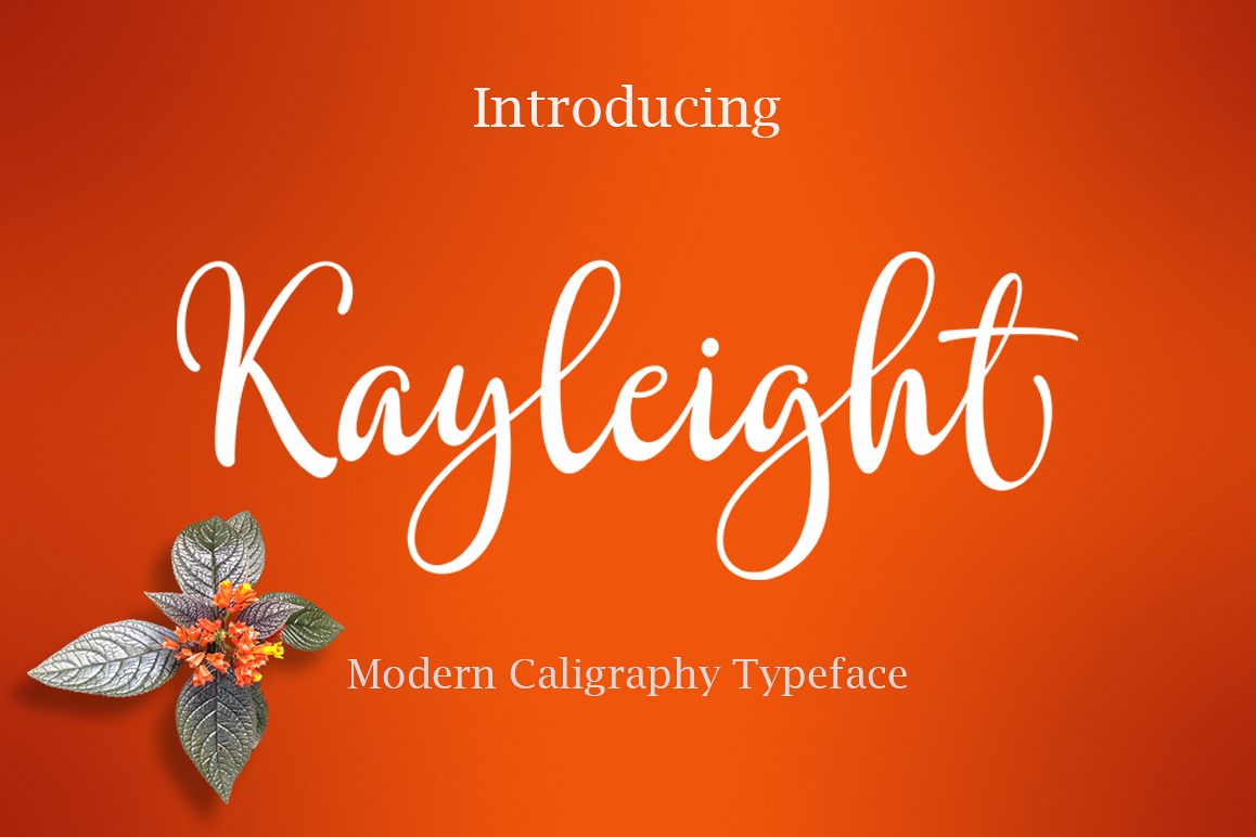 Kayleight example image 1