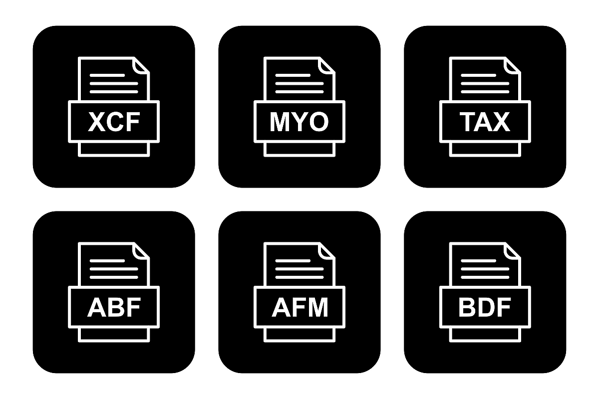 Set Of File Formats Icons example image 1