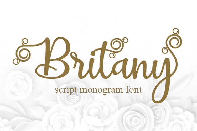 Britany Script Monogram Font example image 1