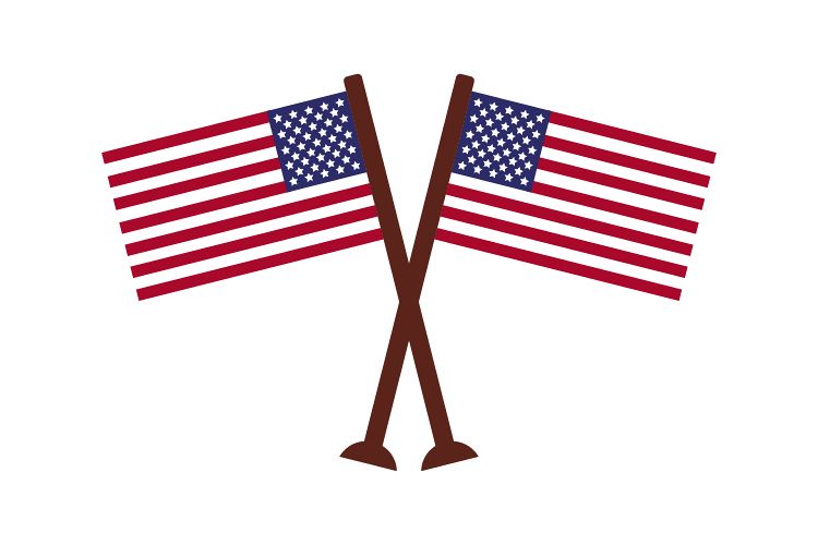 United States flag example image 1